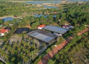 Menjaga Lingkungan dan Ekosistem Pasca Tambang, PT. Timah Agendakan Reklamasi, Penanaman Bakau, Pembuatan Tempat Ikan