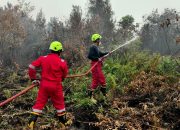 Saat Hutan Terbakar, PT TIMAH Turunkan Pasukan Api untuk Lindungi Kalimantan