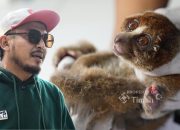 Api Mengusir Mereka dari Rumah: Lebih dari 20 Satwa Jadi Korban Karhutla Babel