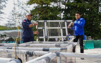 Laut Dijaga, Nelayan Berdaya: PT TIMAH Tenggelamkan 81 Atraktor Cumi di Bangka