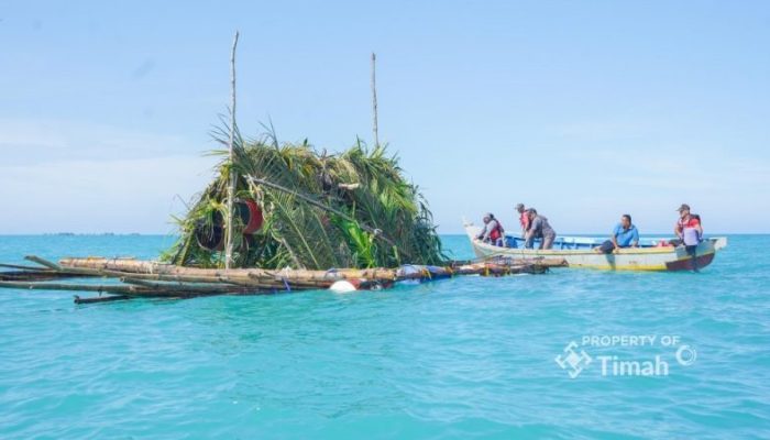 Dari Atraktor hingga Restocking, PT TIMAH Jaga Cumi-Cumi demi Keberlanjutan Rezeki Nelayan
